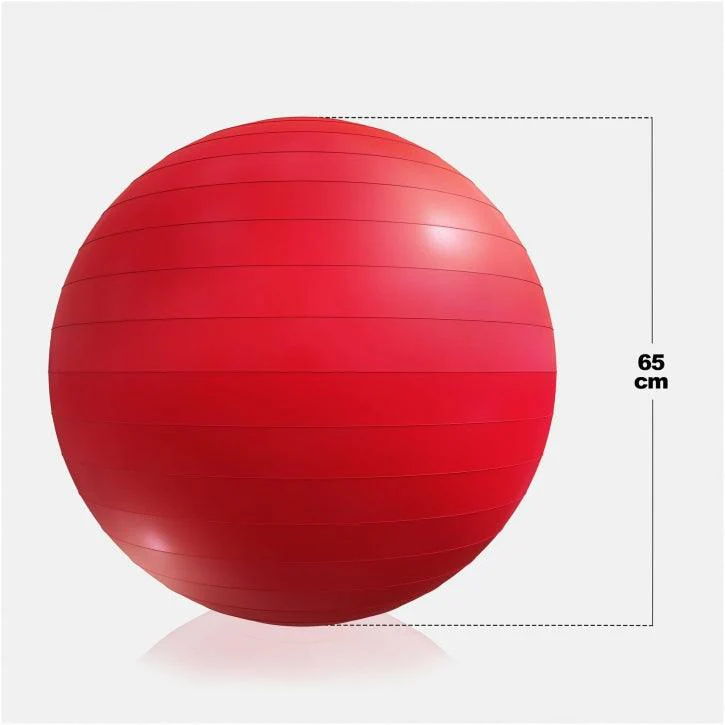 Fitball Pelota de Fitness 55 - 75 cm - Image 67